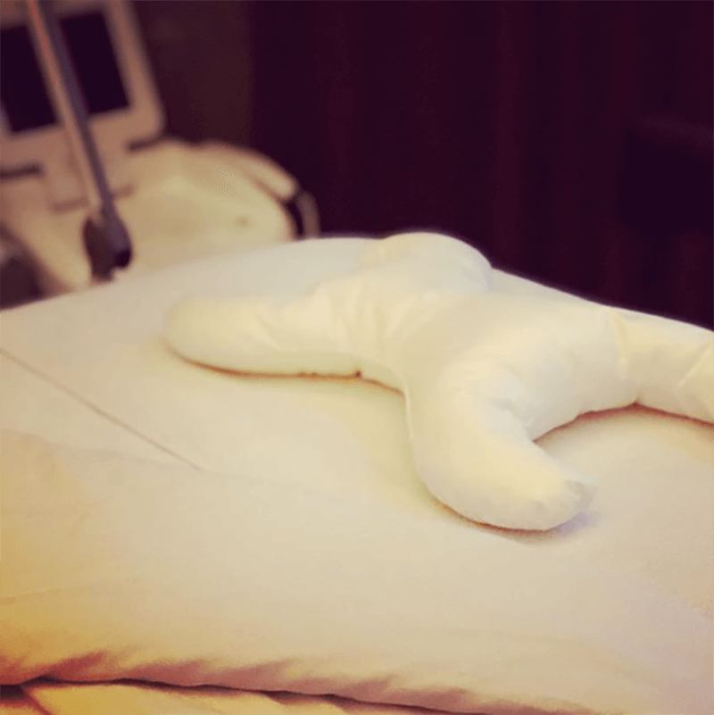 Save My Face Le Grand Hovedpude | Holistic Beauty